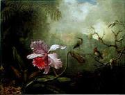 Martin Johnson Heade Cattleya Orchid & Three Brazilian Hummingbirds oil painting